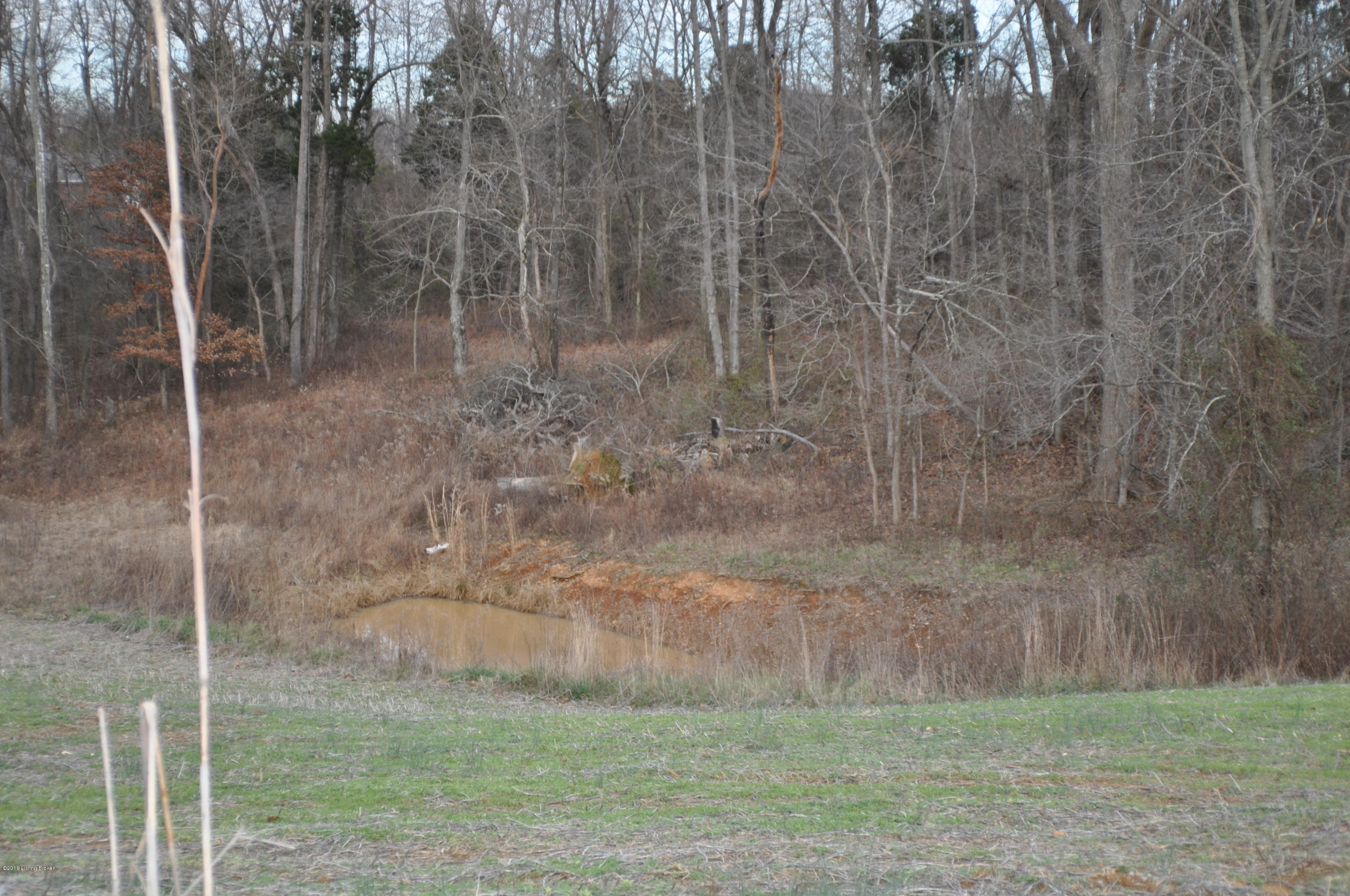 570 Gaines Road Brandenburg, KY 40108 - Photo 68 of 77 DSC_0119
