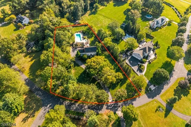 a picture of flowers