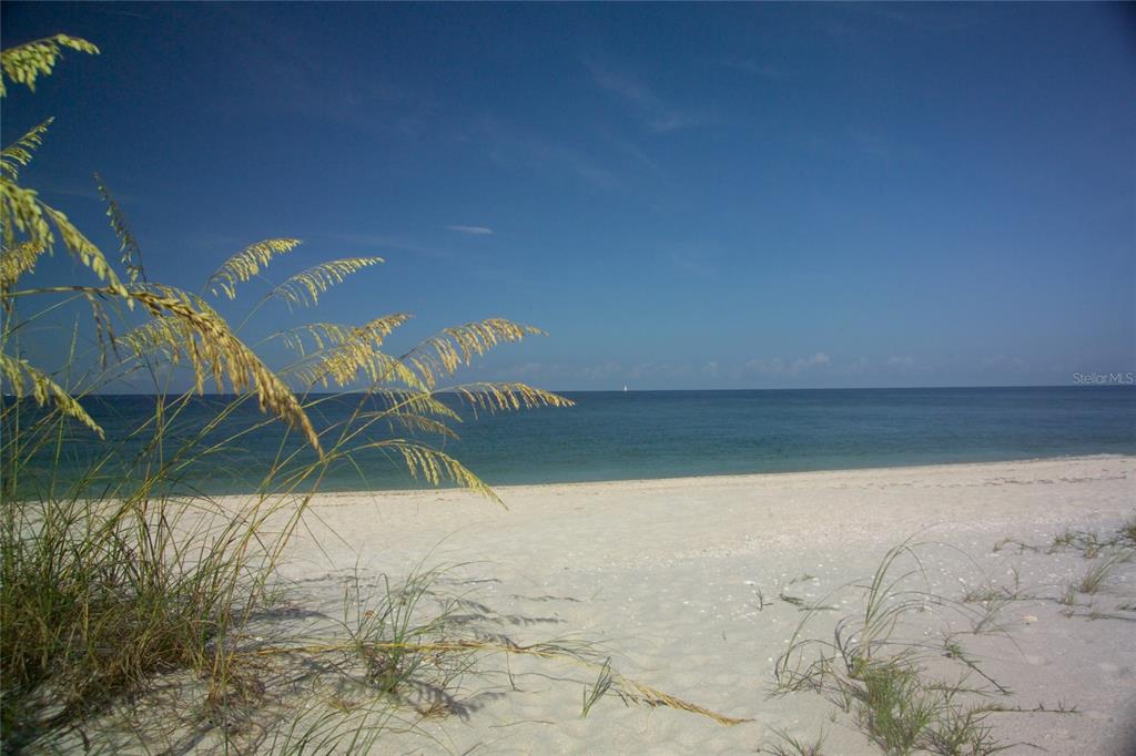 603 Longboat Club Road, Unit 402N Longboat Key, FL 34228 - Photo 41 of 42