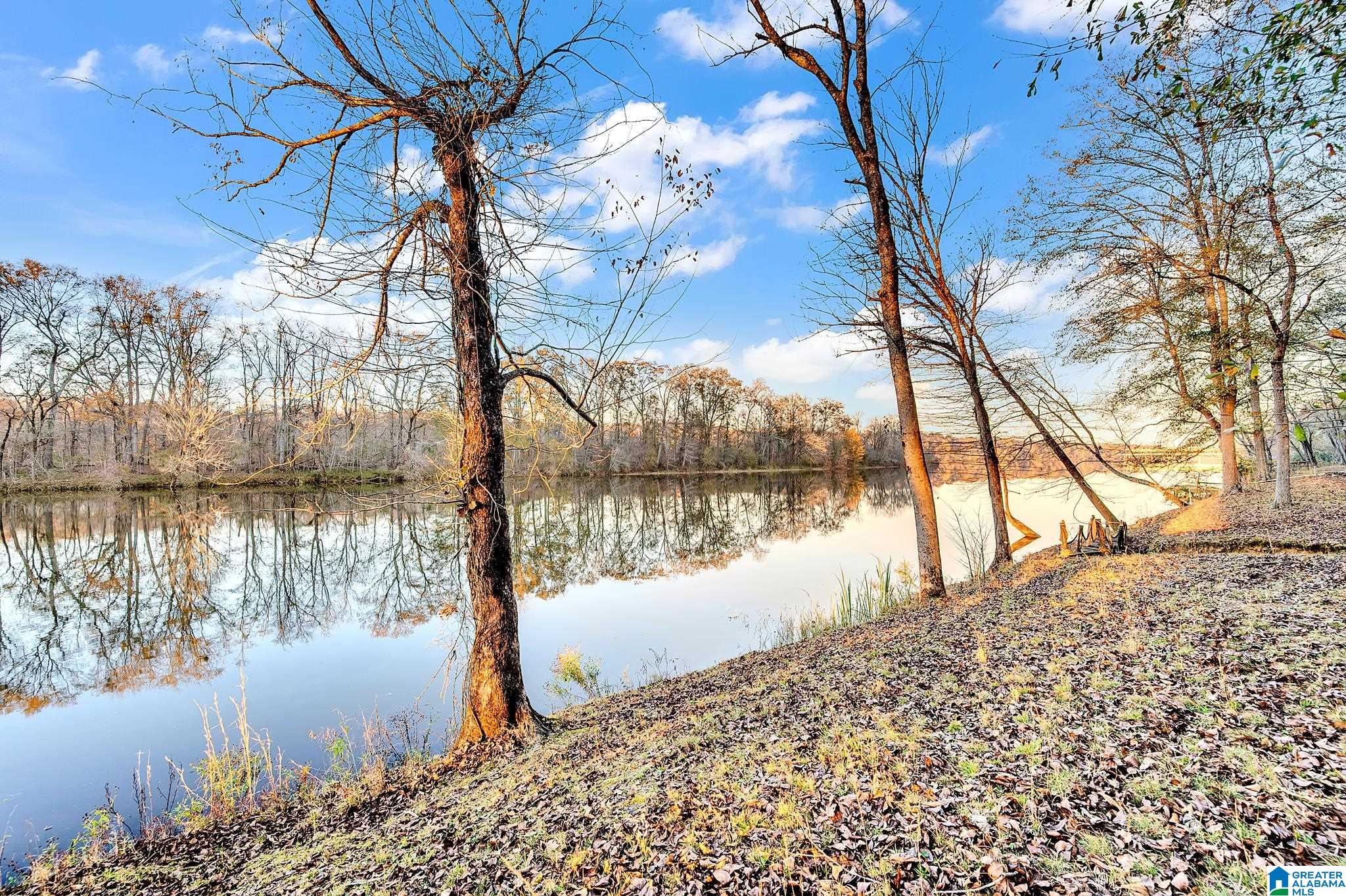 135 River Run Road Childersburg, AL 35044 - Photo 32 of 40