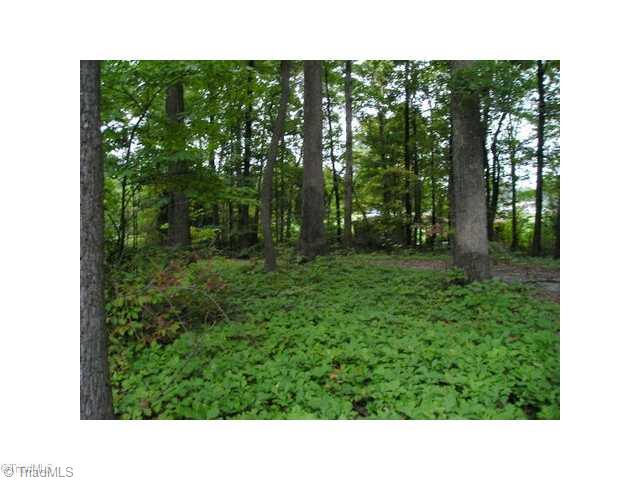 4535 Walpole Road High Point, NC 27265 - Photo 5 of 7 Land/Lot.