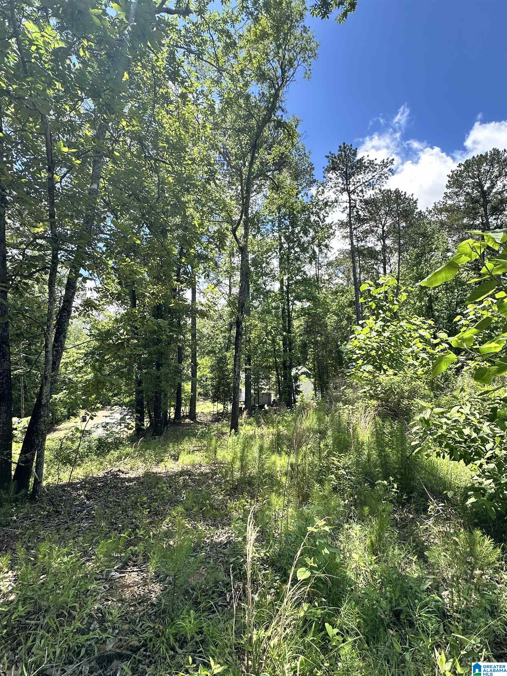 350 Black Acres Road, Unit 11 Cropwell, AL 35054 - Photo 12 of 16