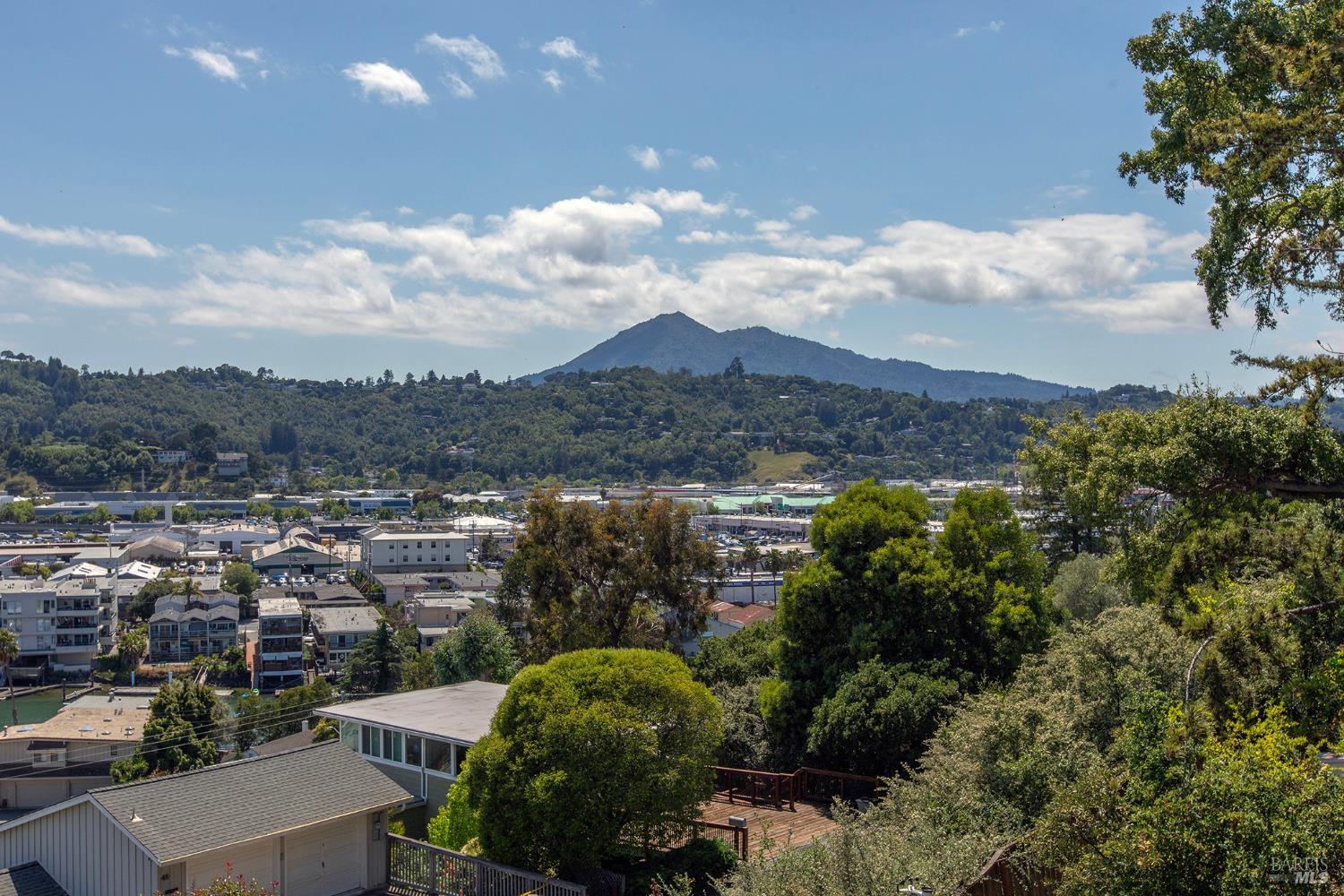32 Alta Vista Way San Rafael, CA 94901 - Photo 44 of 48