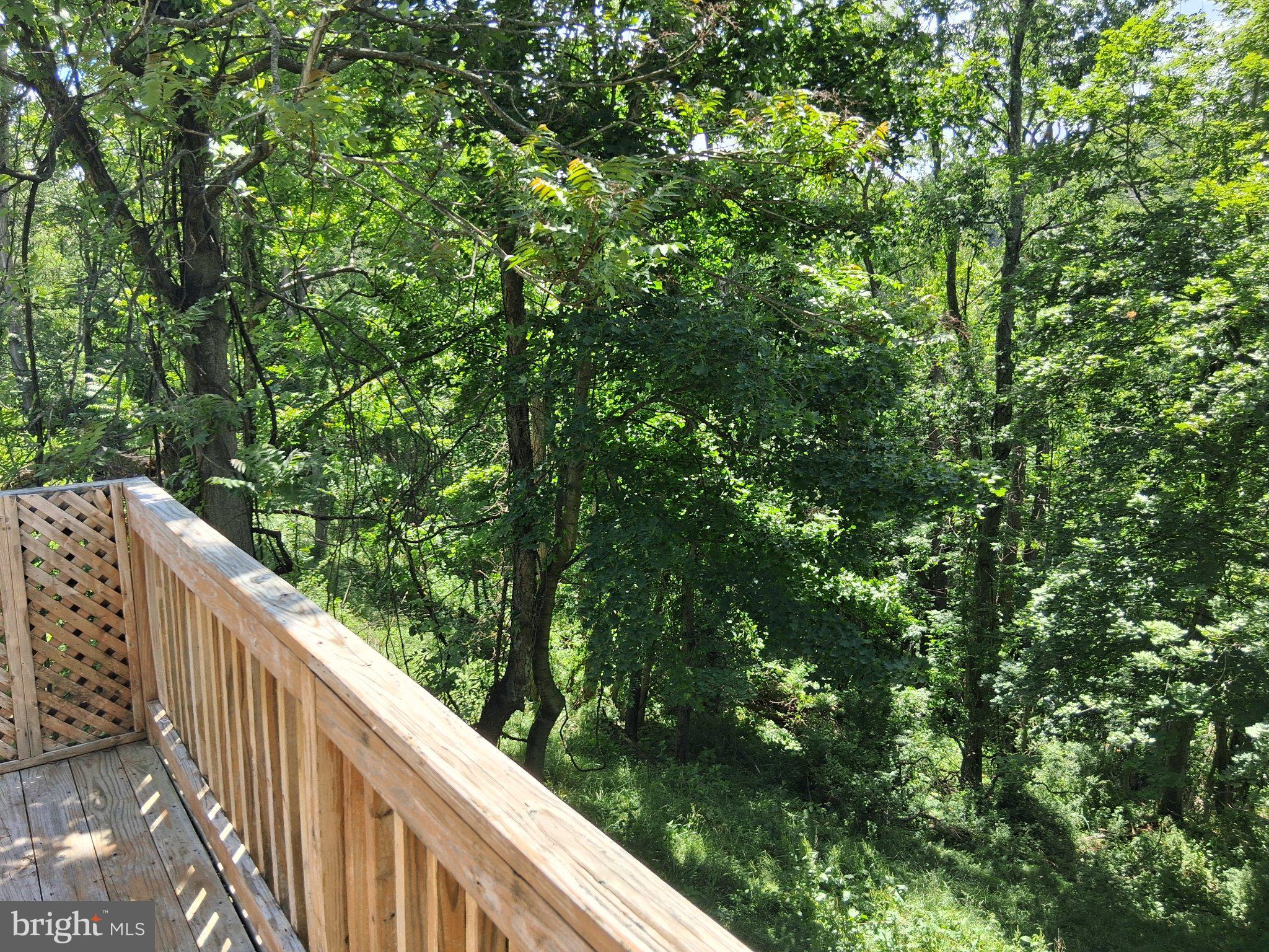 265 View Street Johnstown, PA 15902 - Photo 17 of 66 Serene woodland retreat awaits you.