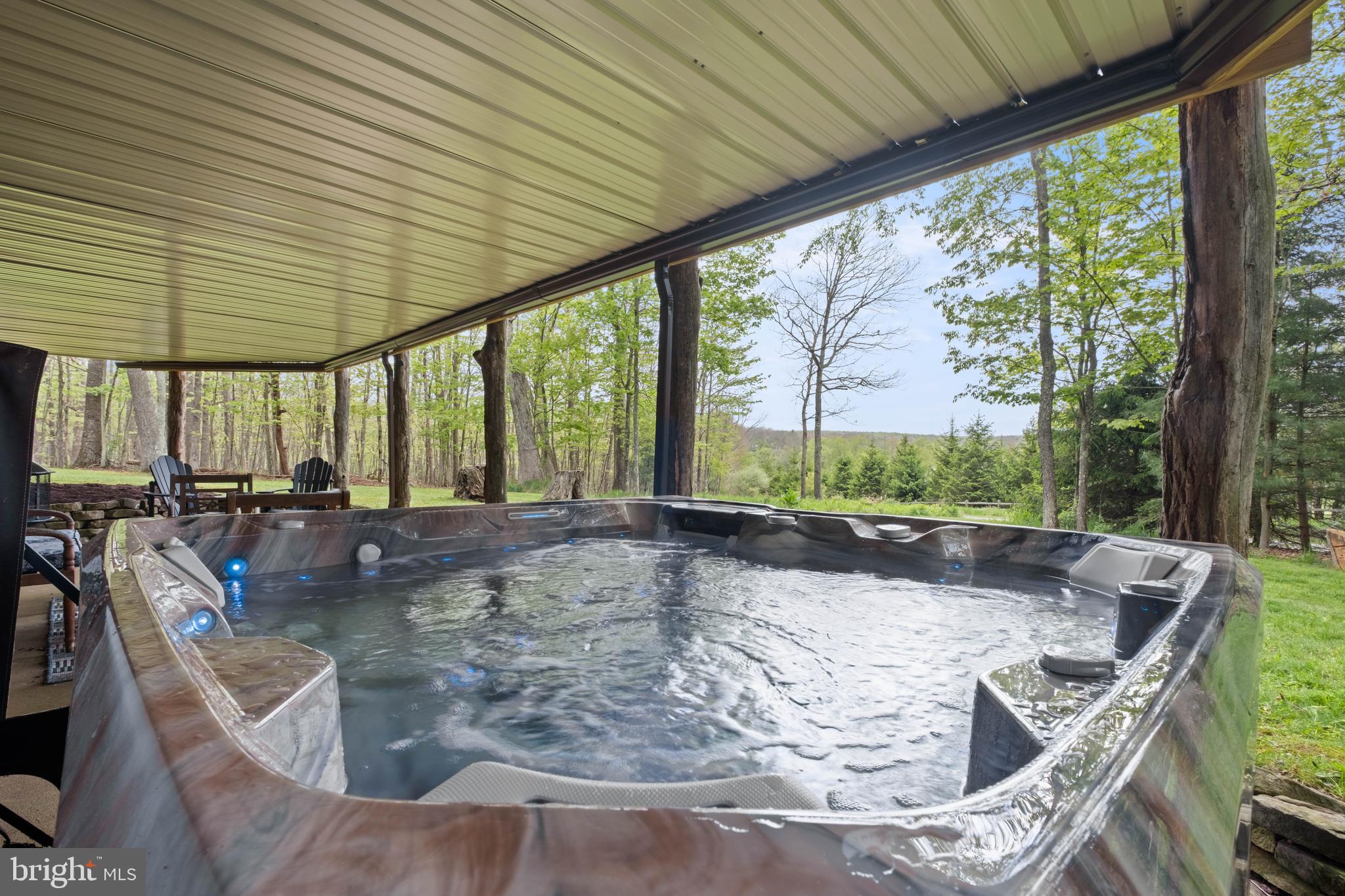 125 Ruta Lane Swanton, MD 21561 - Photo 61 of 77 New Hot Tub