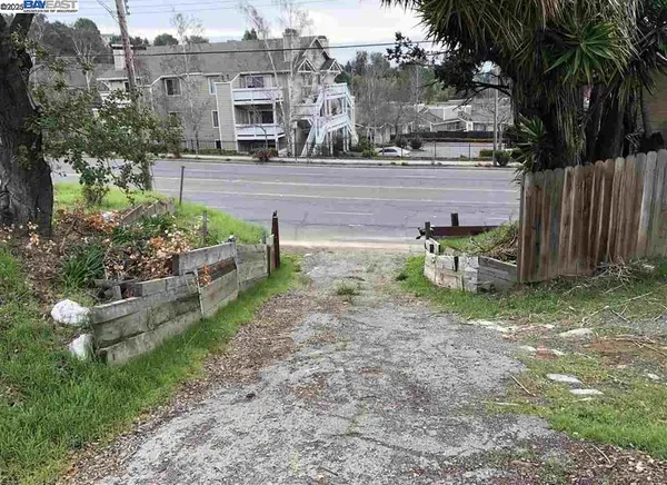 a view of a backyard with plants and a patio
