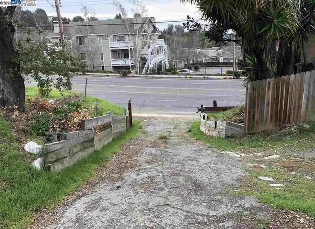 a view of a backyard with plants and a patio