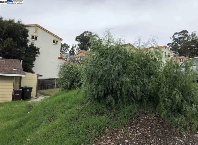 a aerial view of a house with a yard and lake view