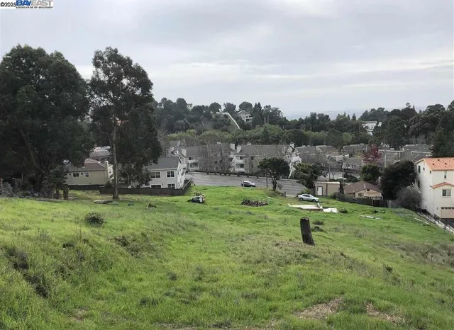 a view of a garden with a house