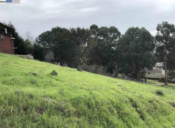 a backyard of a house with lots of green space and mountain view in back