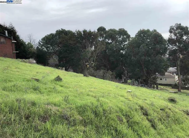 a backyard of a house with lots of green space and mountain view in back