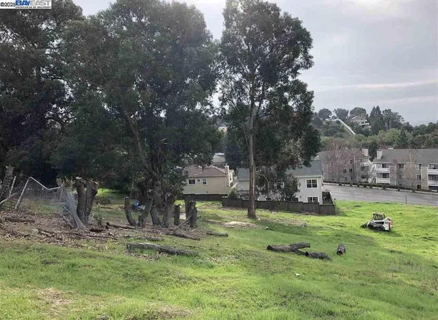 a view of a park with large trees