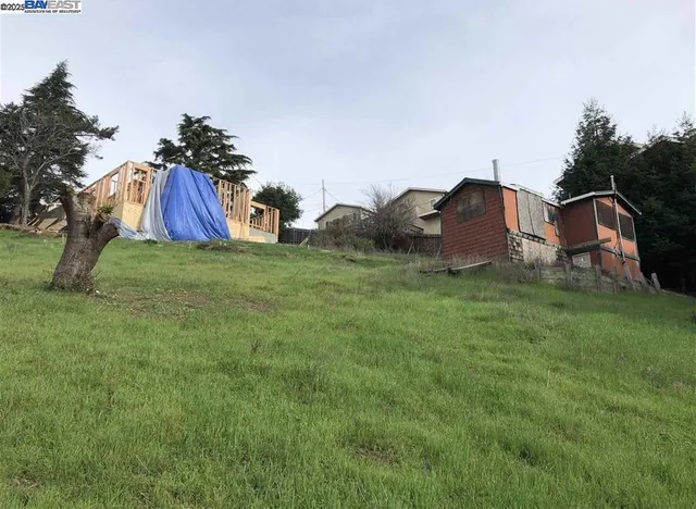 a view of a house with backyard and trees