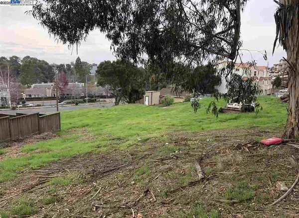 a view of a backyard with large trees