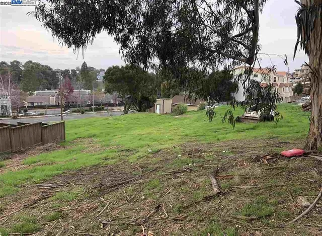 a view of a backyard with large trees