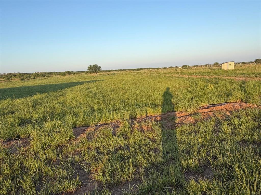 14214 County Road 421 Merkel, TX 79536 - Photo 12 of 16 Gallery Image 12