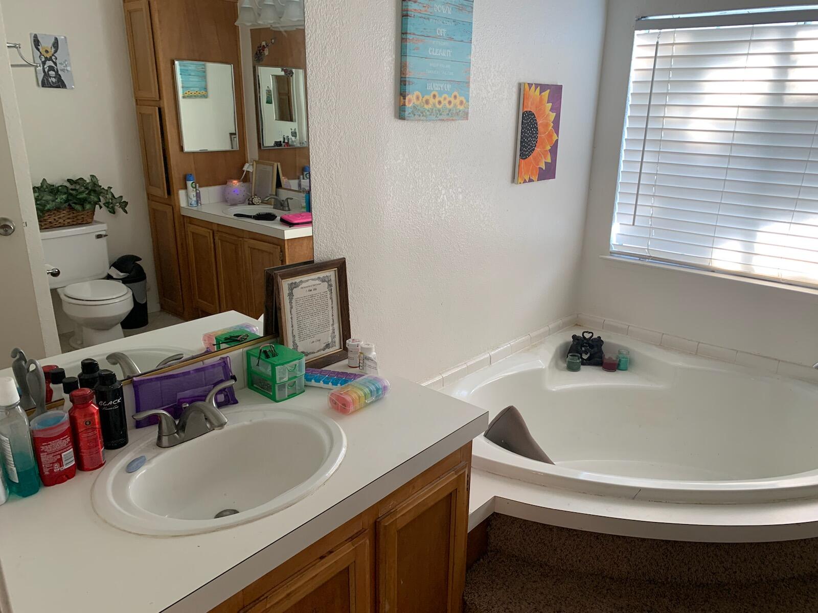 20567 Plymire Road Red Bluff, CA 96080 - Photo 9 of 20 a bathroom with a sink and a mirror