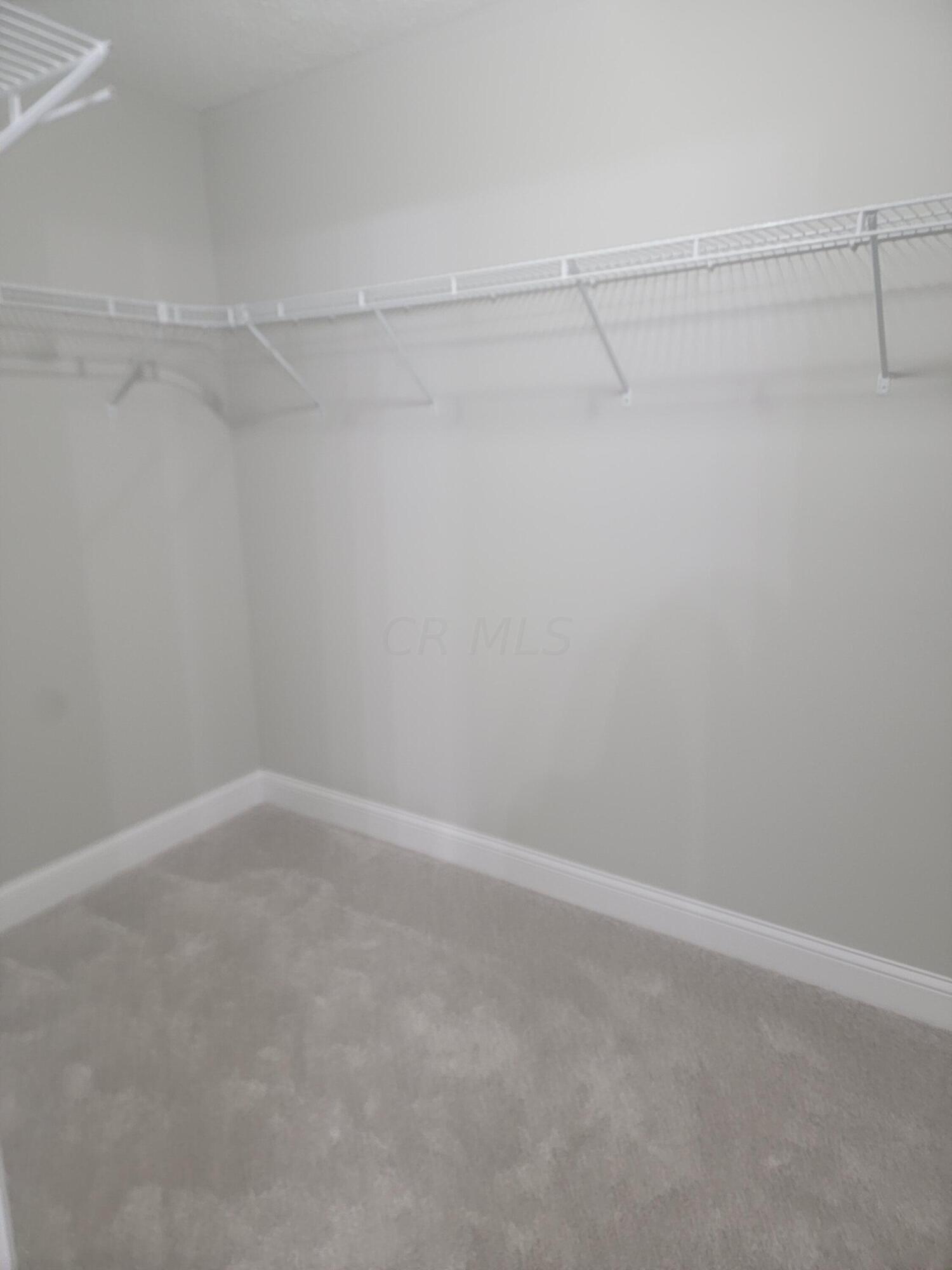 7339 Lee Road Westerville, OH 43081 - Photo 23 of 29 Master Closet