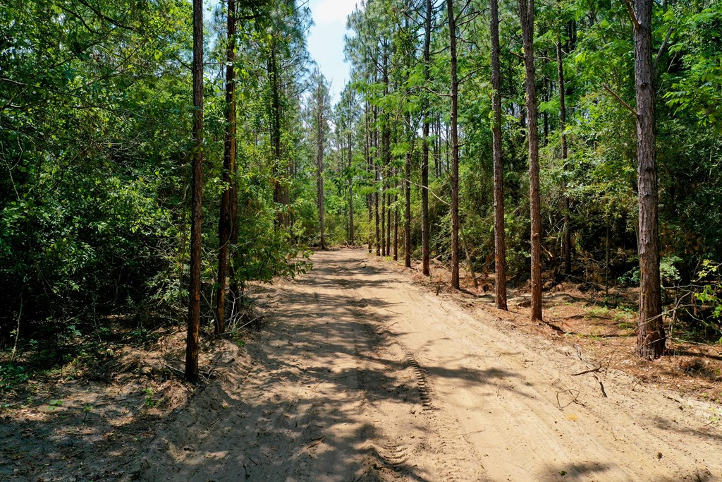 0 South Watford Road Slocomb, AL 36375 - Photo 2 of 14