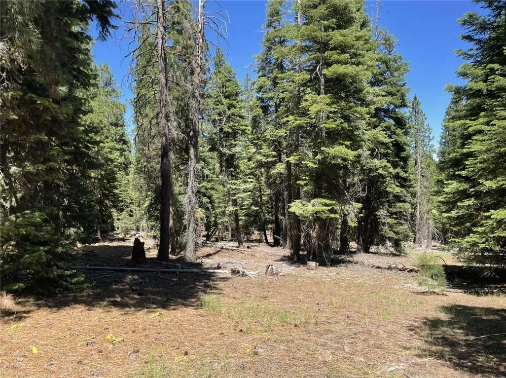 0 Range Alturas, CA 96101 - Photo 1 of 39 Gallery Image 1