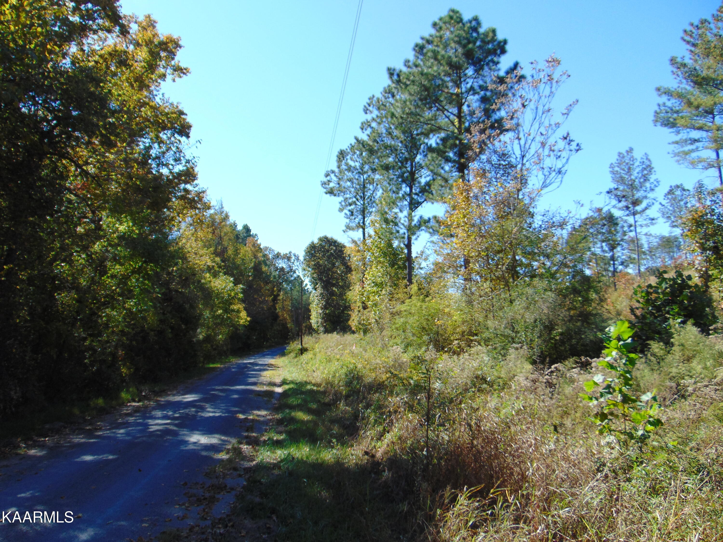 15-d-4 Cameron Road Decatur, TN 37322 - Photo 3 of 12 DSC01575