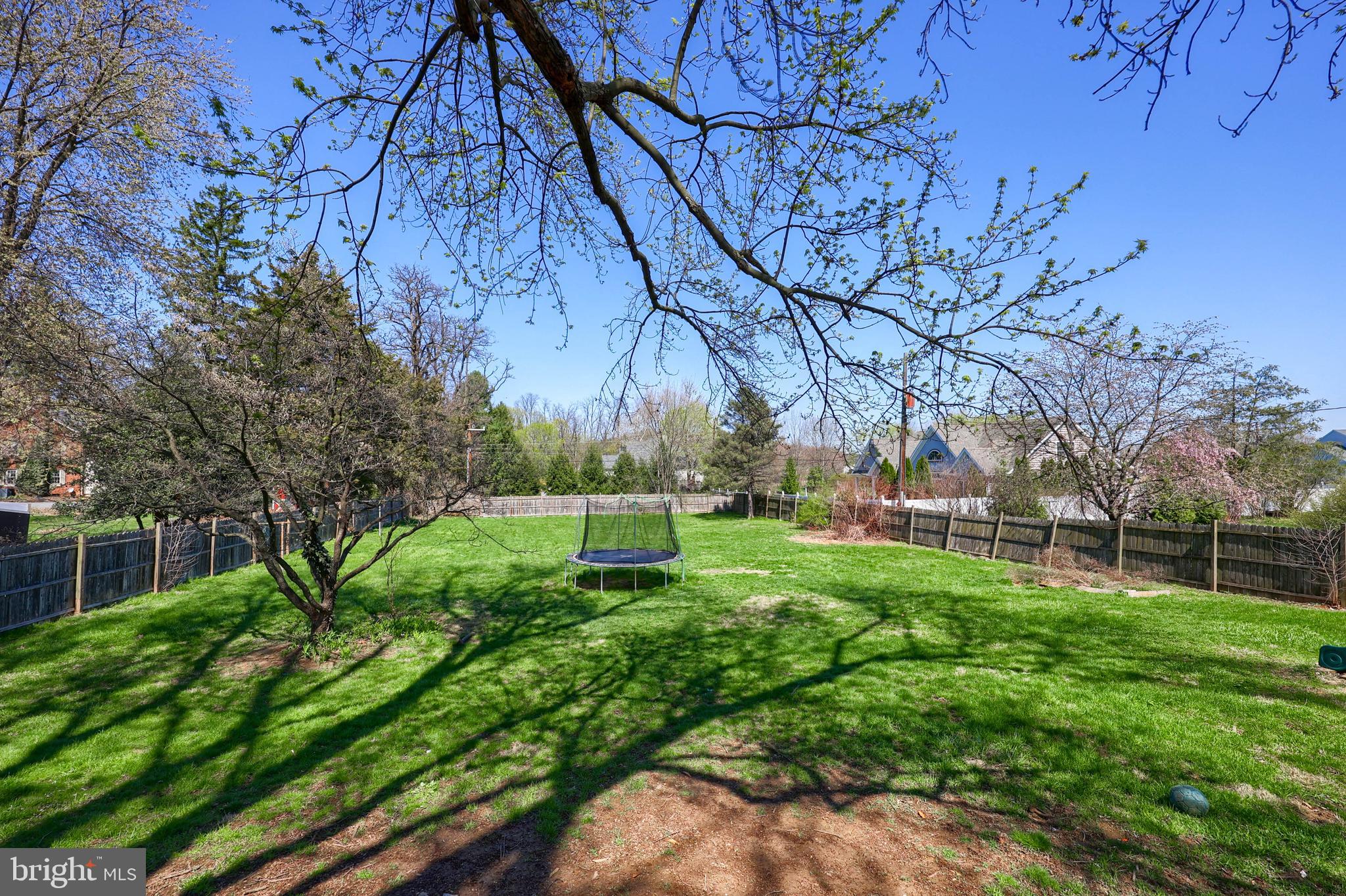 2033 Robindale Avenue Lancaster, PA 17601 - Photo 36 of 47 a view of a yard with an tree