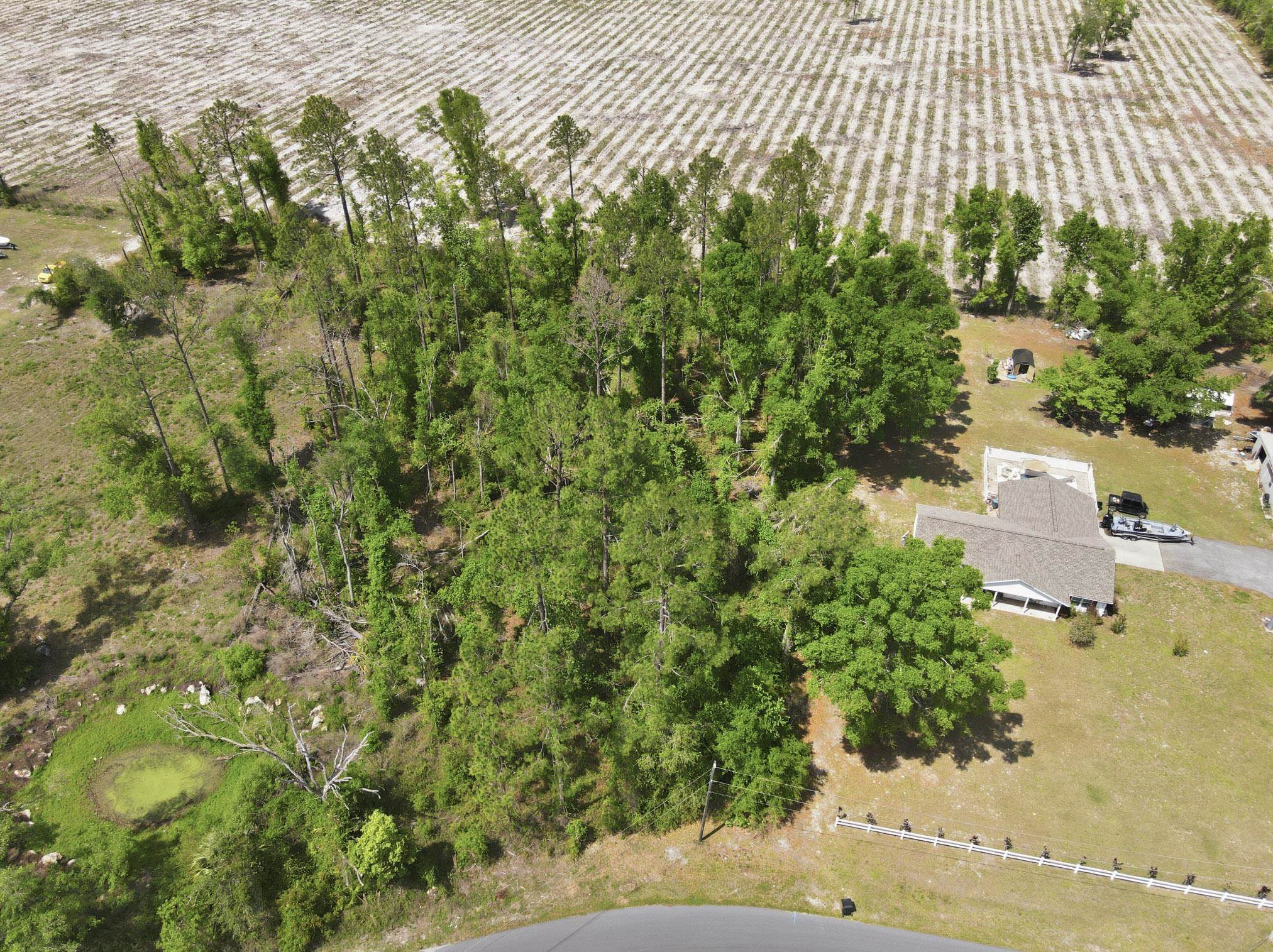 503 Judson Drive Perry, FL 32348 - Photo 14 of 17