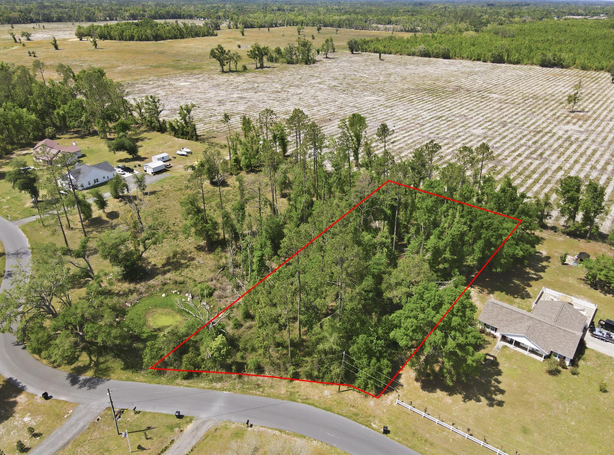 503 Judson Drive Perry, FL 32348 - Photo 15 of 17
