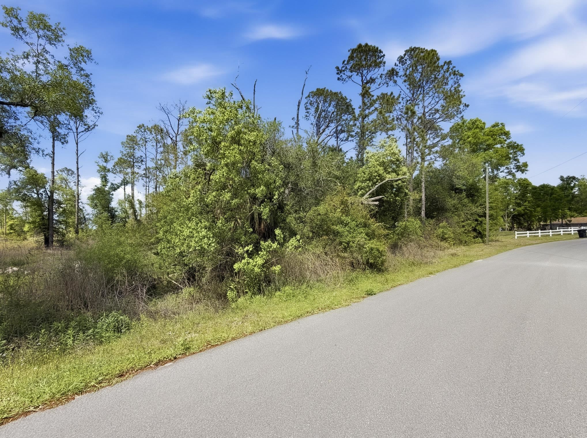 503 Judson Drive Perry, FL 32348 - Photo 4 of 17