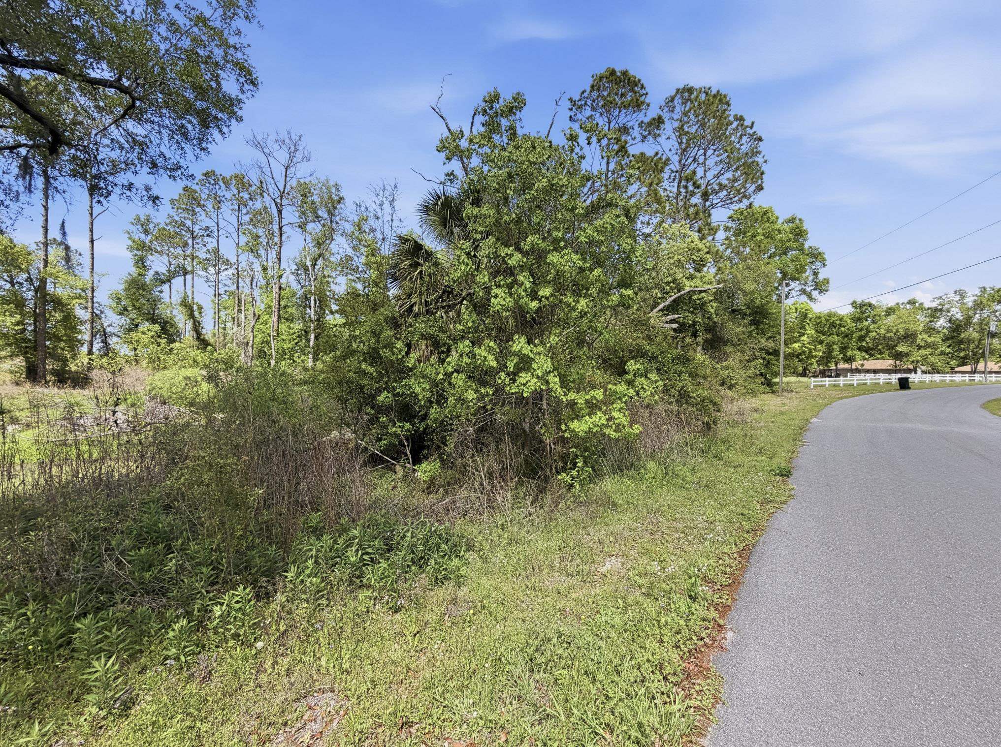 503 Judson Drive Perry, FL 32348 - Photo 5 of 17