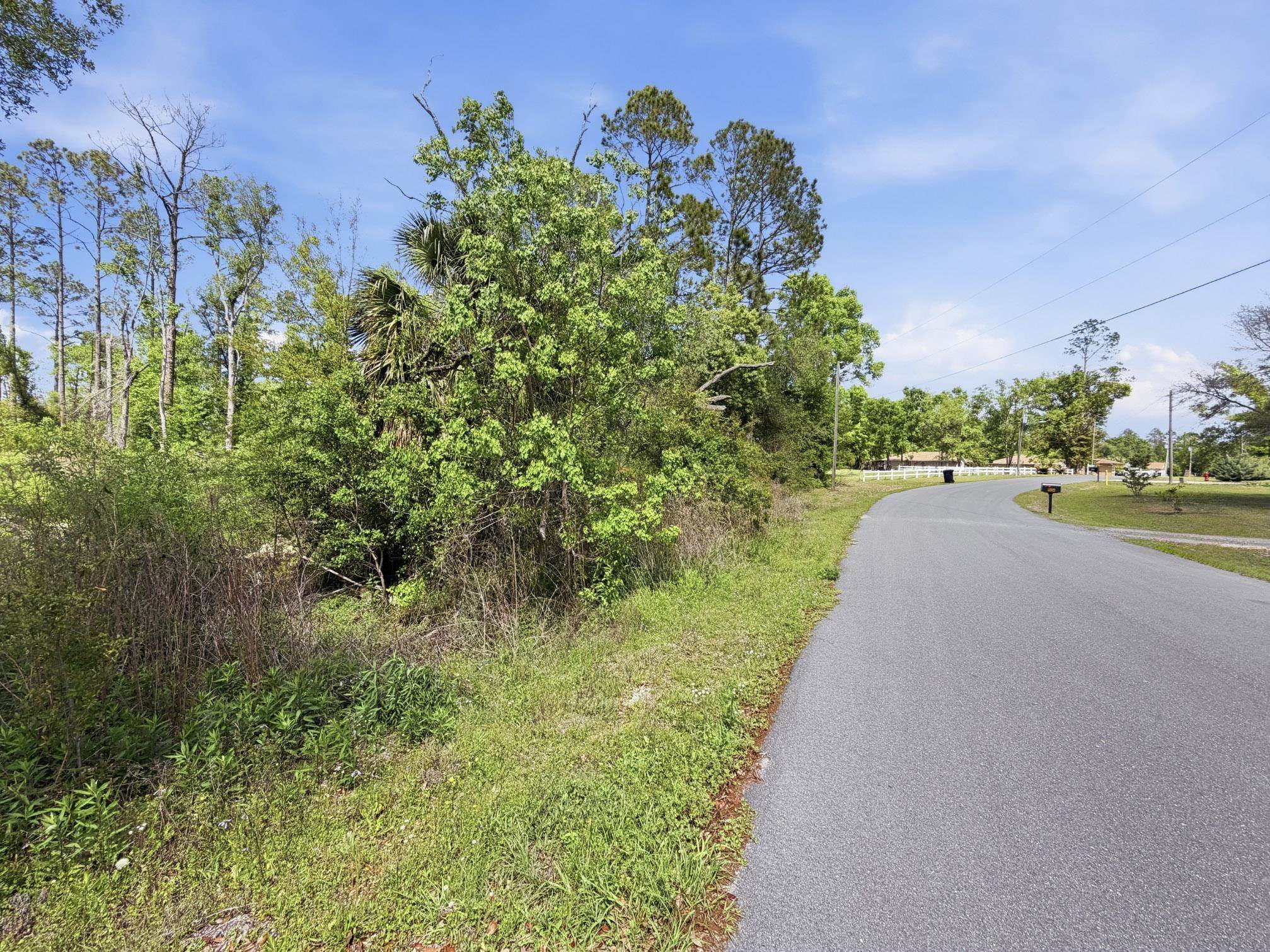 503 Judson Drive Perry, FL 32348 - Photo 6 of 17