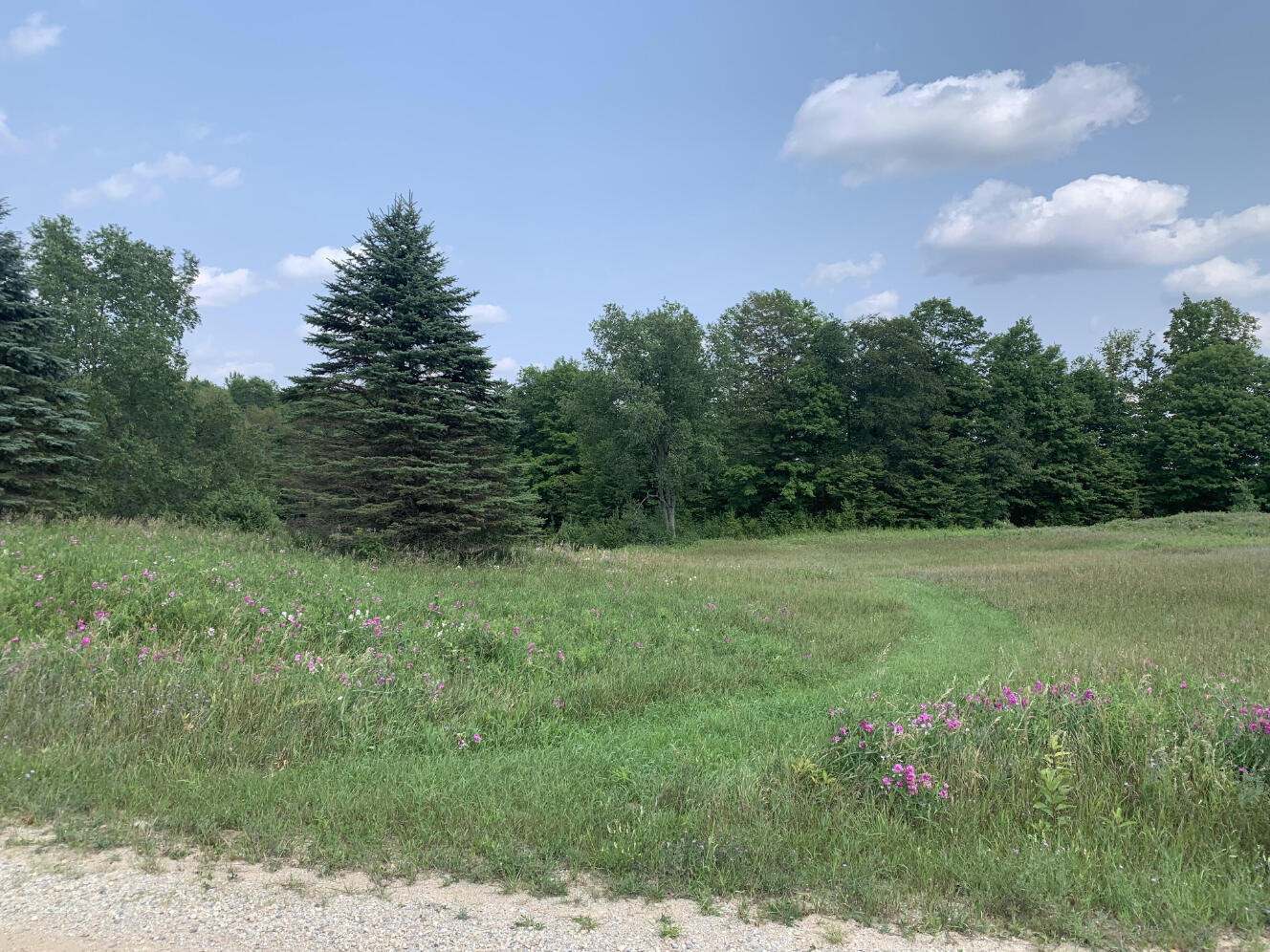 10 South 15 Road Cadillac, MI 49601 - Photo 2 of 34 IMG_4504