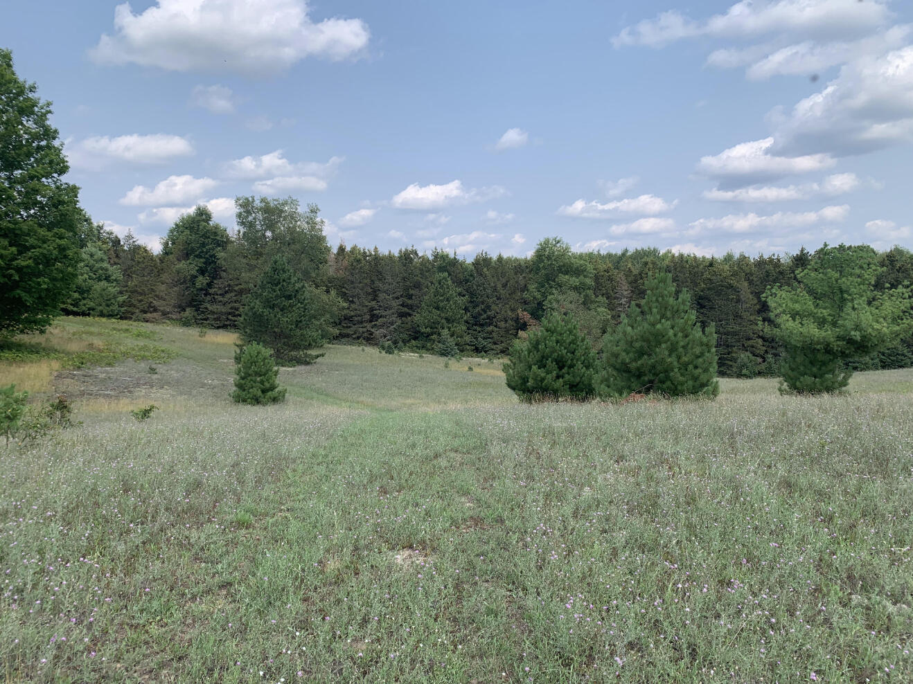 10 South 15 Road Cadillac, MI 49601 - Photo 21 of 34 IMG_4526