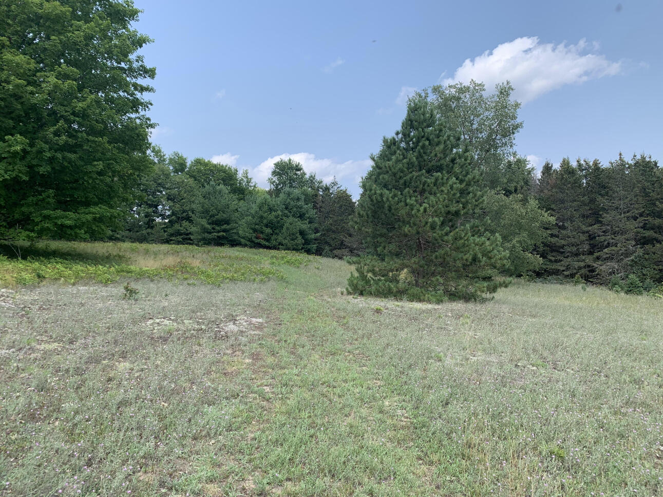 10 South 15 Road Cadillac, MI 49601 - Photo 25 of 34 IMG_4530