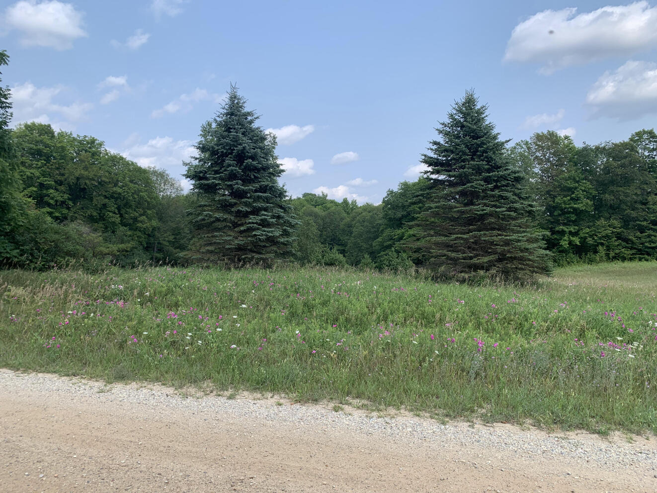 10 South 15 Road Cadillac, MI 49601 - Photo 3 of 34 IMG_4505