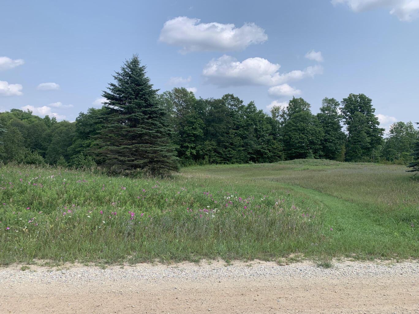 10 South 15 Road Cadillac, MI 49601 - Photo 4 of 34 IMG_4506