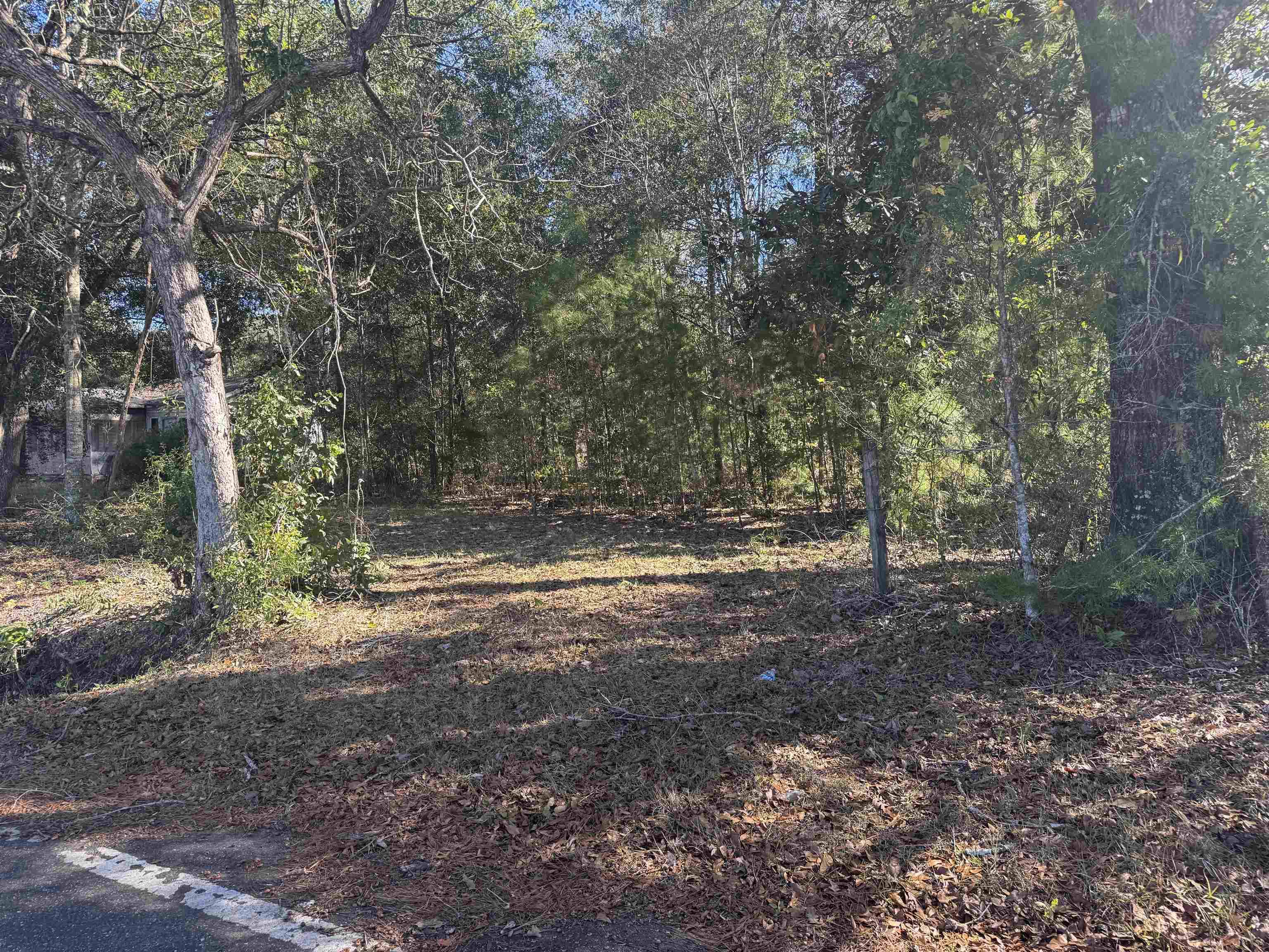 290 Schwall Road Havana, FL 32333 - Photo 2 of 2