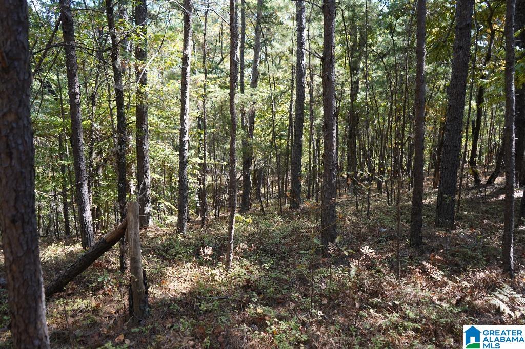Oak Road, Unit 2 Sylacauga, AL 35151 - Photo 22 of 24 Gallery Image 22