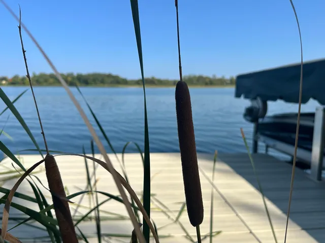 $699,900 | 7064 Juneberry Trail, Walker, MN 56484