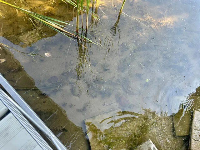 $699,900 | 7064 Juneberry Trail, Walker, MN 56484