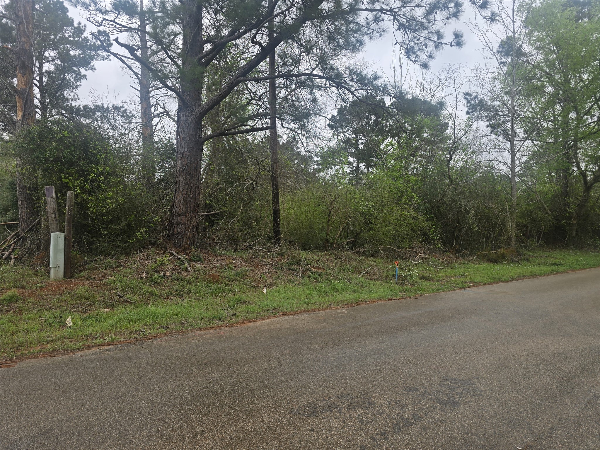 0 2nd Street Newton, TX 75966 - Photo 11 of 15 a view of a field with trees in the background
