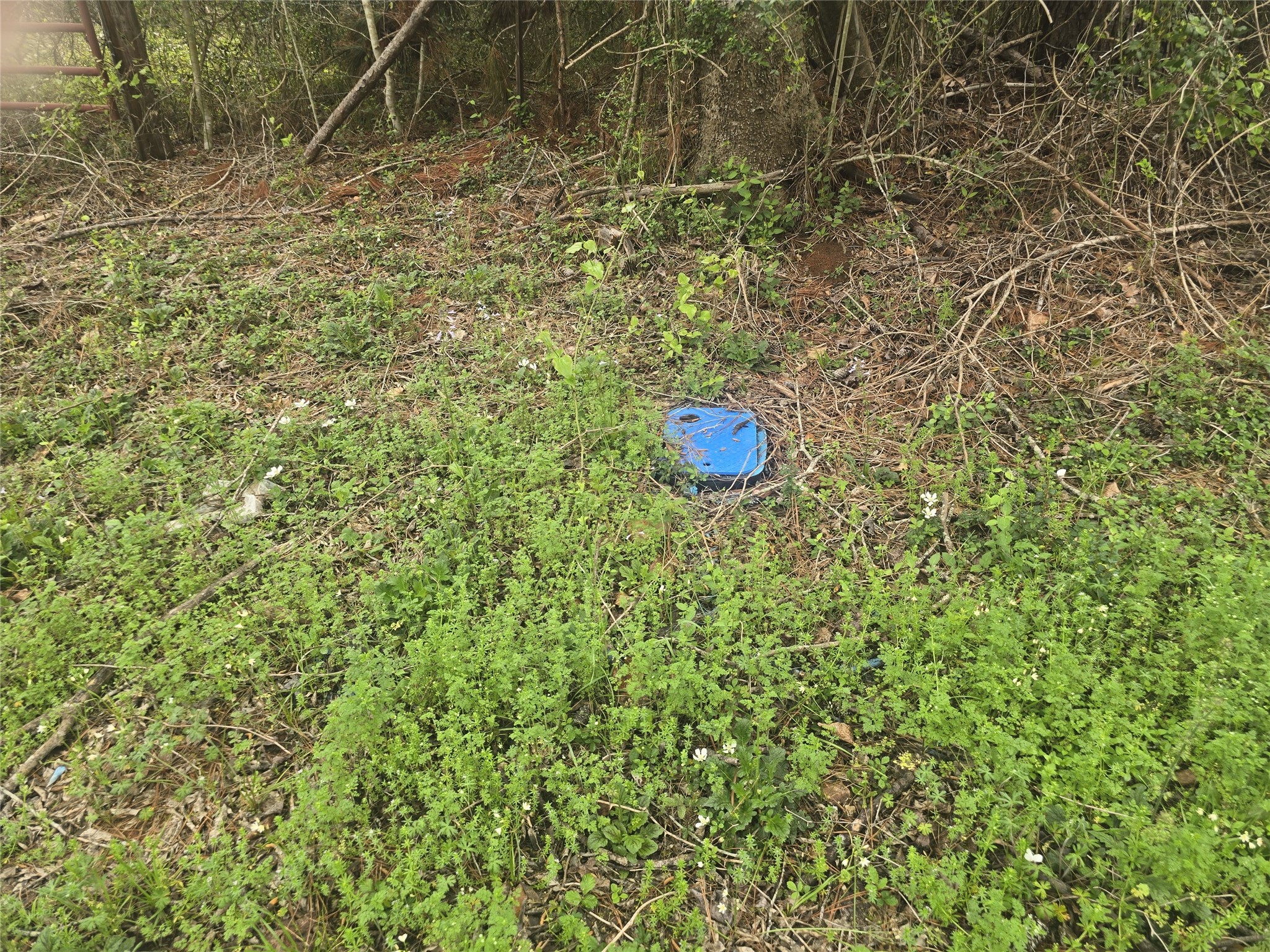0 2nd Street Newton, TX 75966 - Photo 12 of 15 a view of a tree with wooden fence