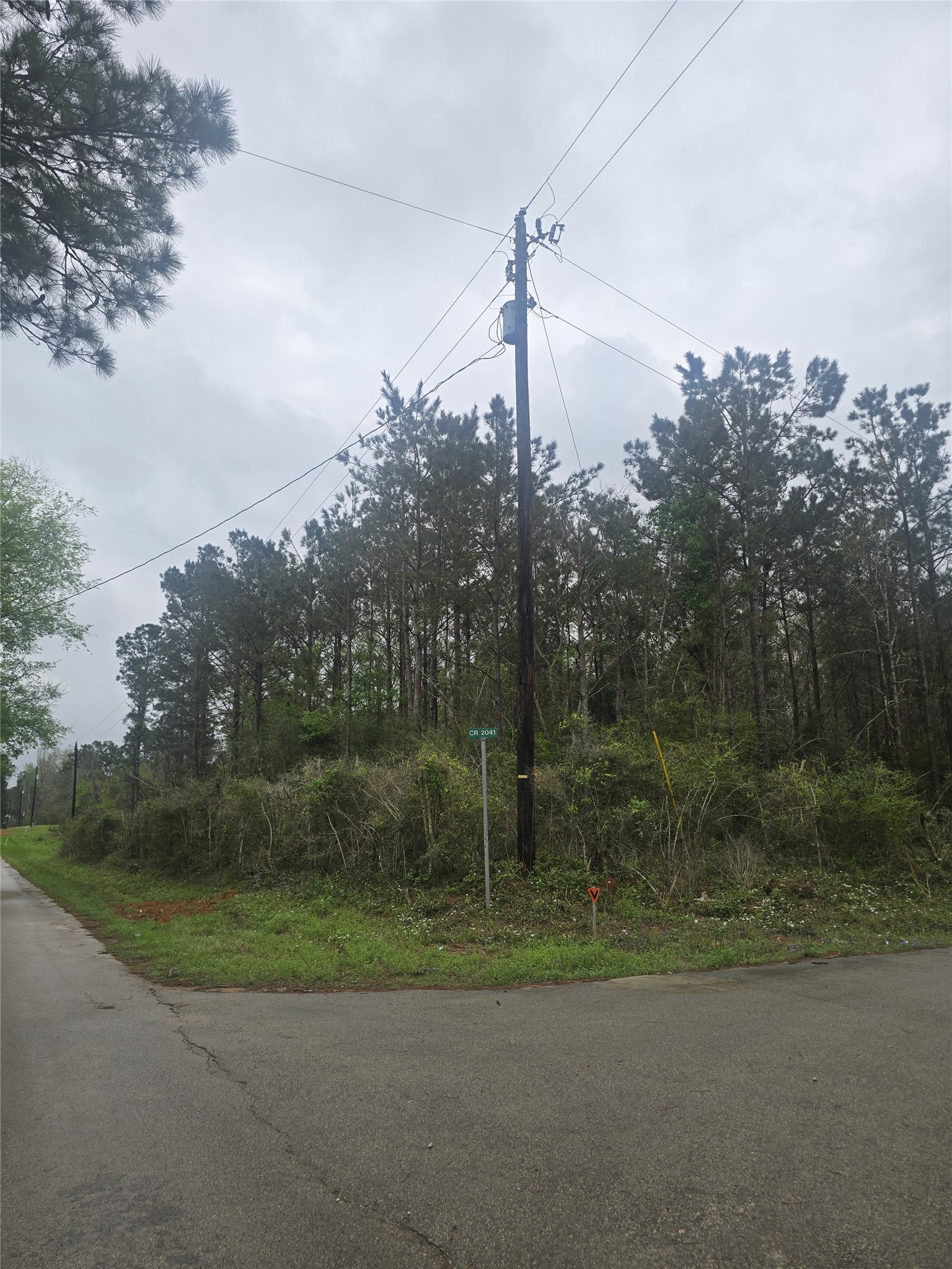0 2nd Street Newton, TX 75966 - Photo 13 of 15 a view of a park