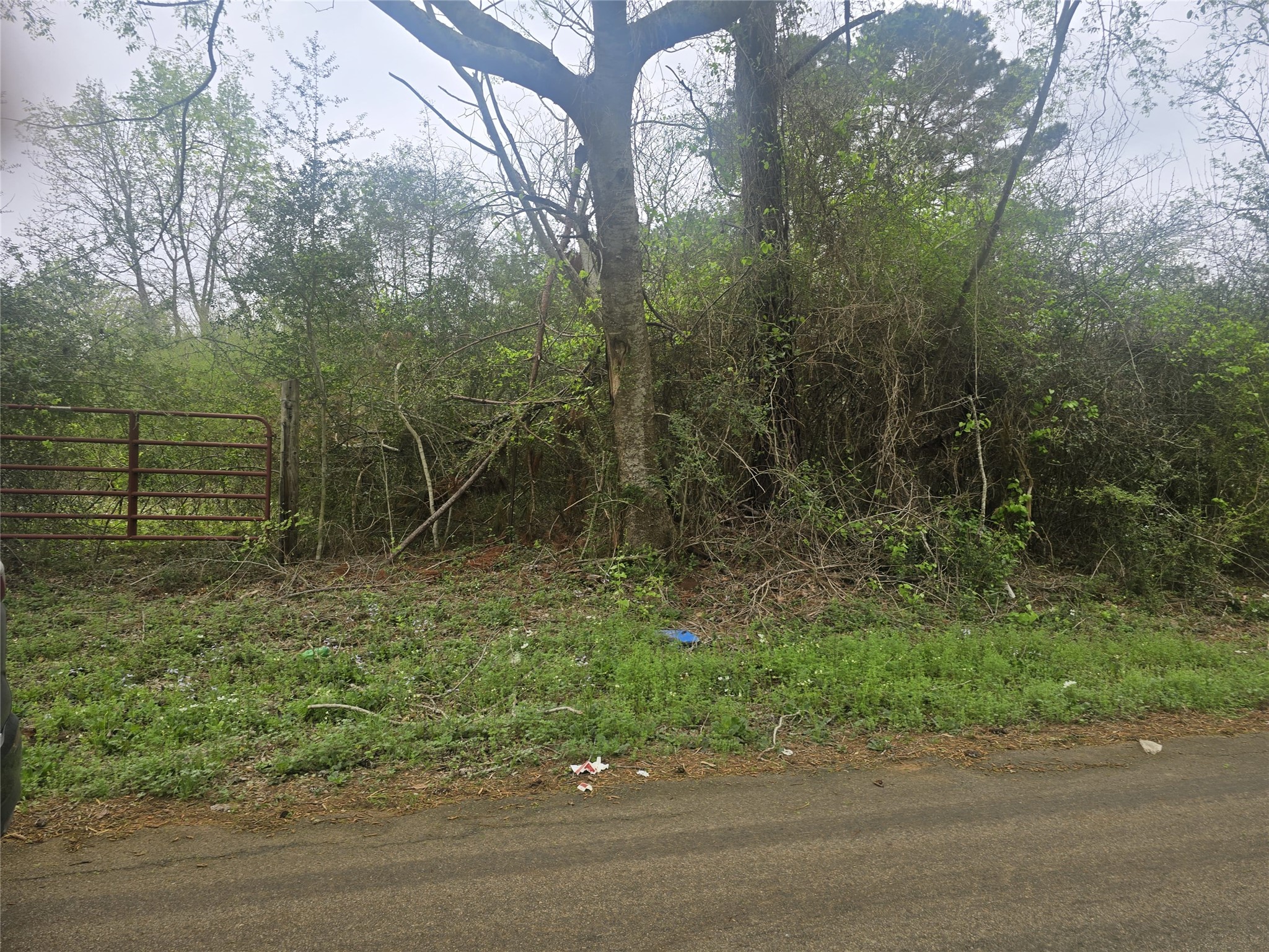0 2nd Street Newton, TX 75966 - Photo 9 of 15 a backyard of a house with lots of green space