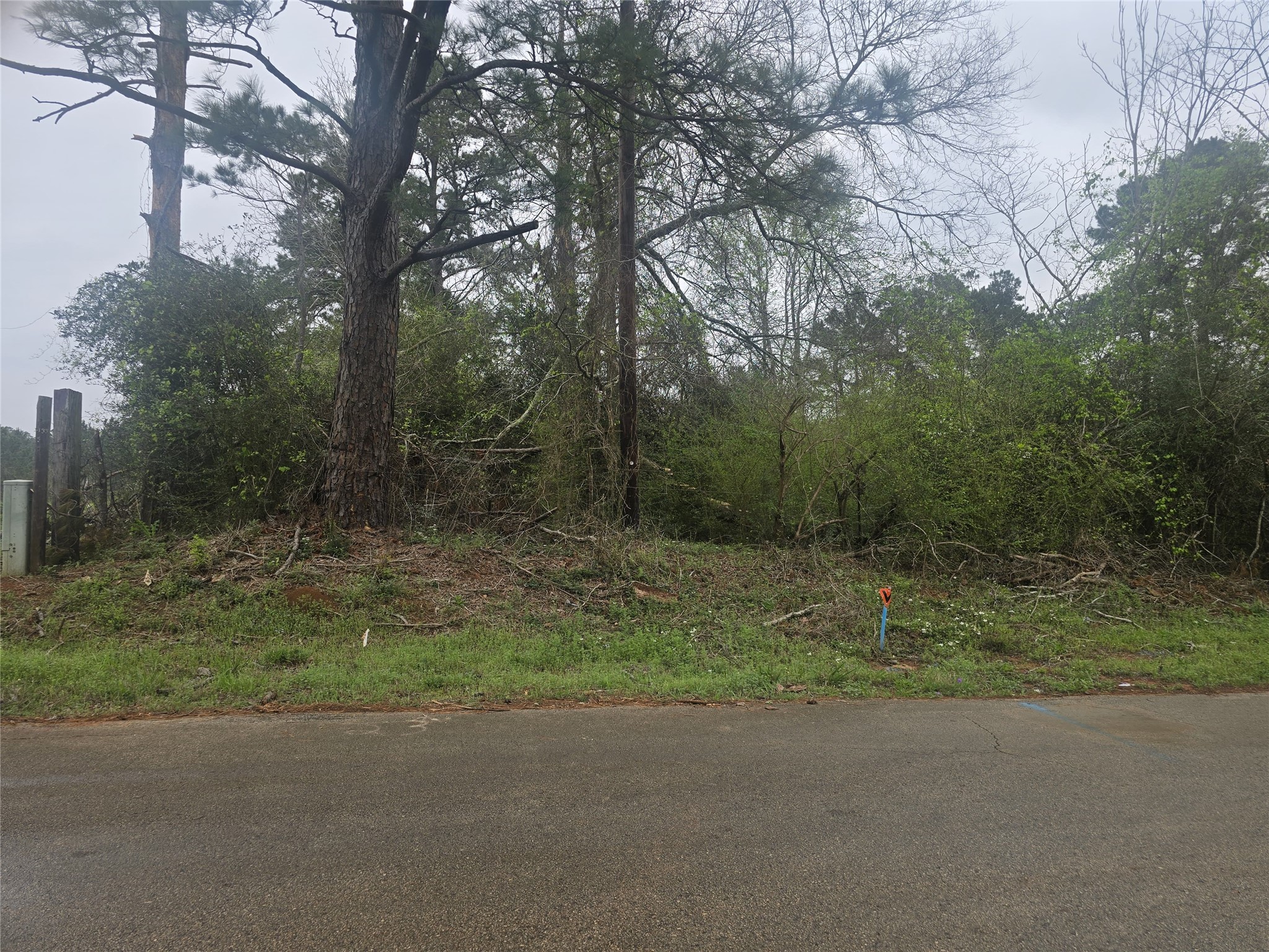 0 2nd Street Newton, TX 75966 - Photo 10 of 15 a backyard of a house with lots of green space