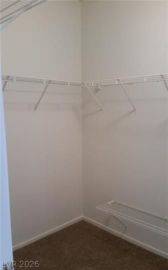 677 Principle Point Avenue Henderson, NV 89012 - Photo 29 of 40 View of walk in closet