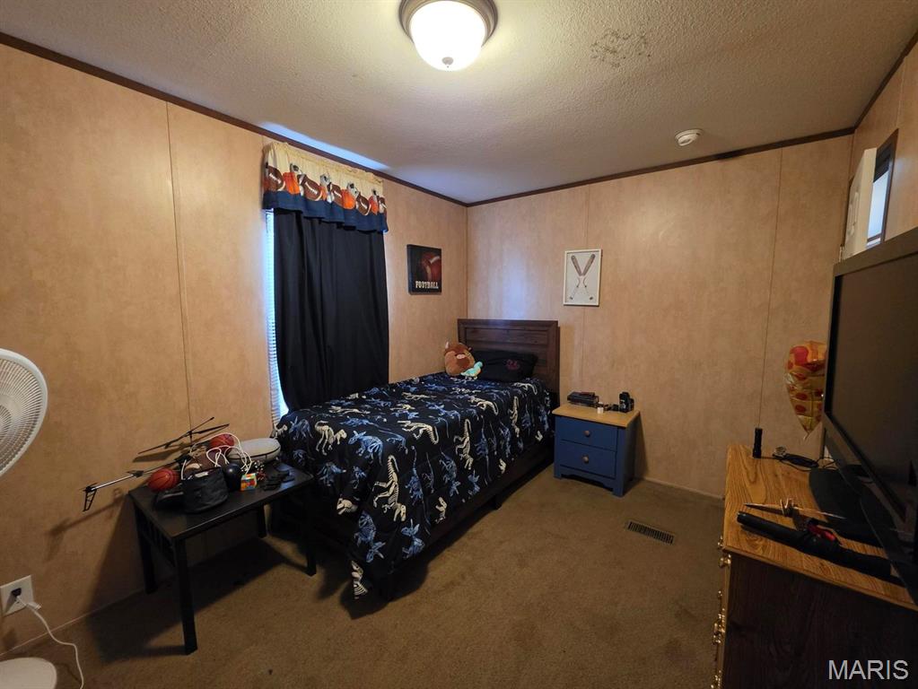 10550 Mill Road Bucyrus, MO 65444 - Photo 16 of 36