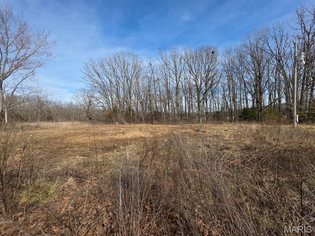 10550 Mill Road Bucyrus, MO 65444 - Photo 31 of 36