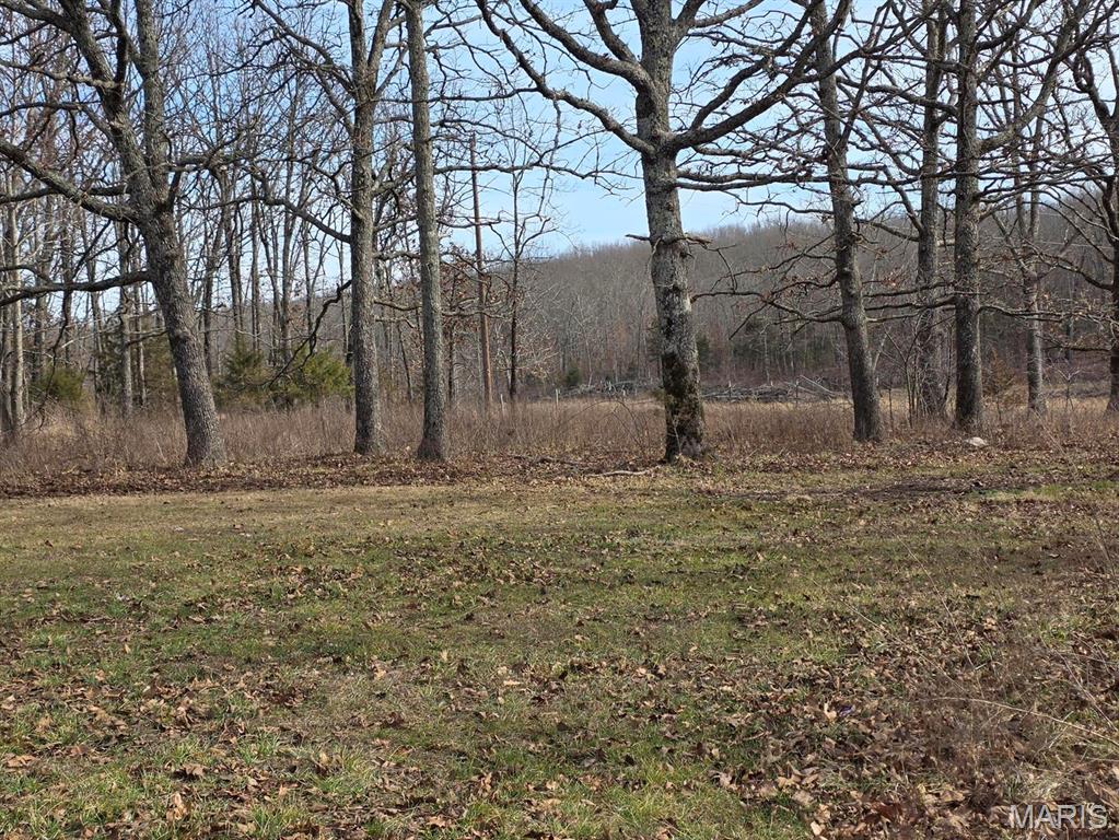 10550 Mill Road Bucyrus, MO 65444 - Photo 33 of 36