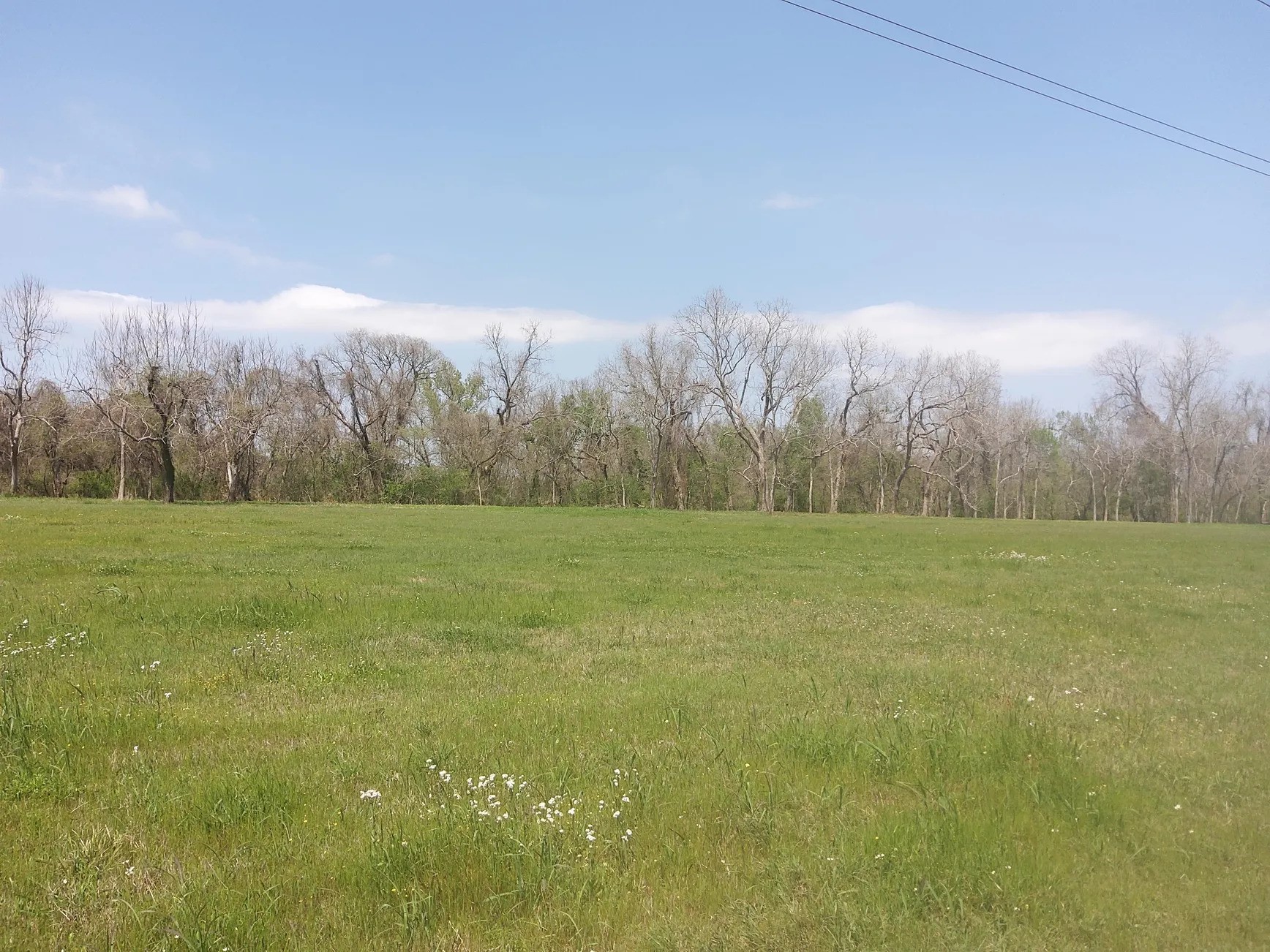 Lot 1 FM 521 Road Angleton, TX 77515 - Photo 27 of 34